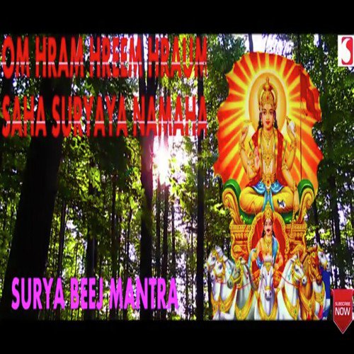Surya Beej Mantra - Siddharth Shankar Shrivastav