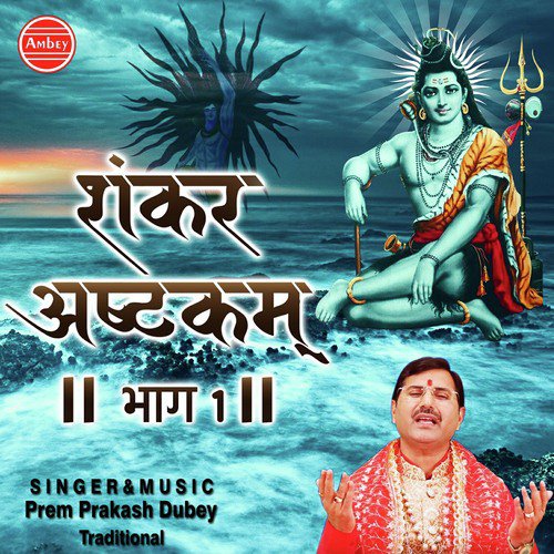Om Namah Shivay - Prem Prakash Dubey