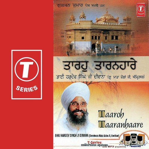 Taaroh Taaranhaare (Vyakhya Sahit) - Sant Baba Hardev Singh Ji-Lulon Wale