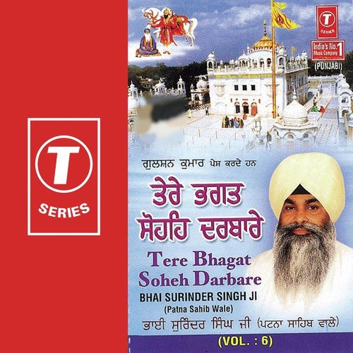Ab Kallu Aayo Re - Bhai Surinder Singh Ji-Patna Saheb Wale