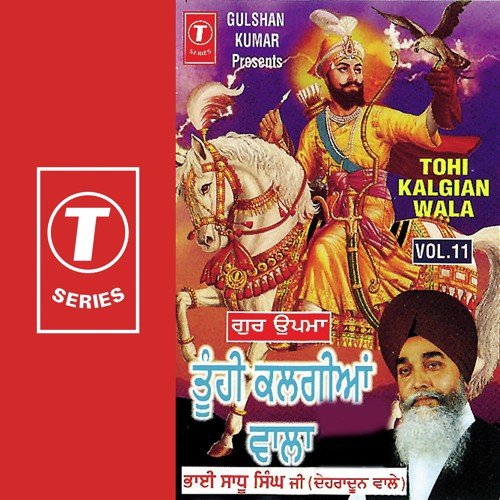Kar Kalgi Parkash Ke Aniya Mar Gaye Ho - Bhai Sadhu Singh Ji-Dehradun Wale