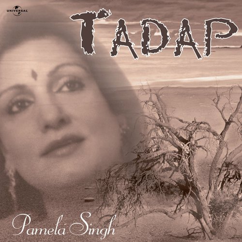 Zindagi Ke Wadee Me (Album Version) - Pamela Singh