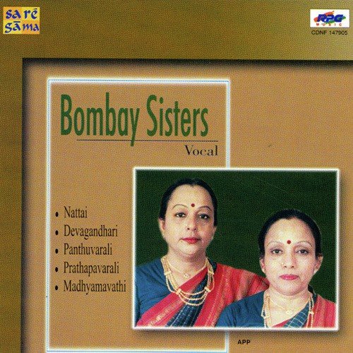 Beet Gaye Din Bhajan Binaare - Various Artists