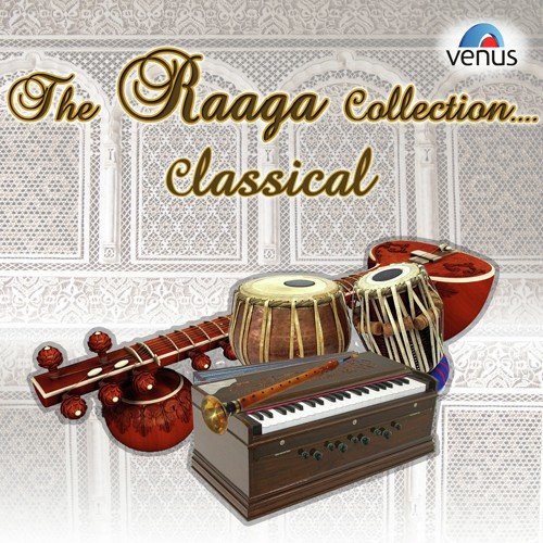 Raga - Zinzoti (Alap, Jod, Zala) - Various Artists