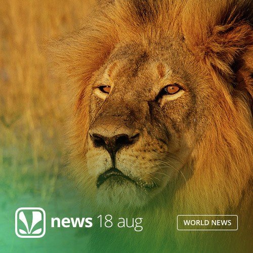 Tuesday, July 28th,  2015   News Update - Saavn News