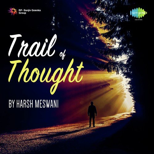 Transcend Into Perfection - Harsh Meswani