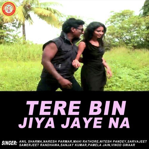 Woh Bewafa Tune Aisa - Anil Sharma