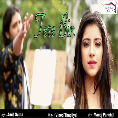 Tere Bin - Amit Gupta