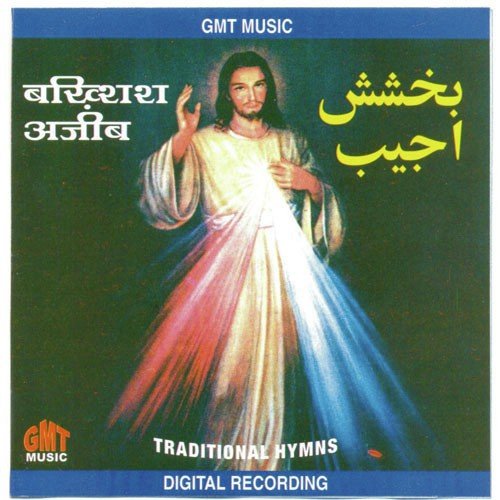 Ek Hi Pyara Hai Hamara - Various Artists