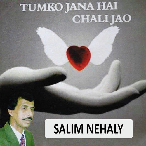 Mera Dard E Nehaa - Salim Nehaly