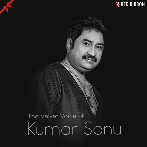 Jab Se Dekha Maine Tumko - Kumar Sanu