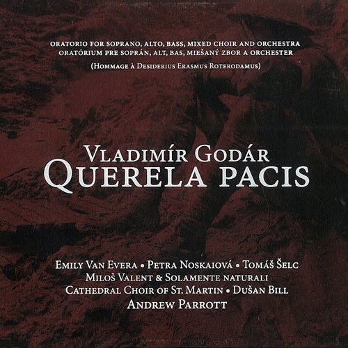 Querela Pacis VI. A Prayer, Allah - Various Artists