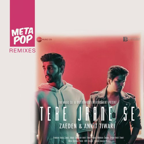 Tere Jaane Se - Ankit Tiwari, Zaeden