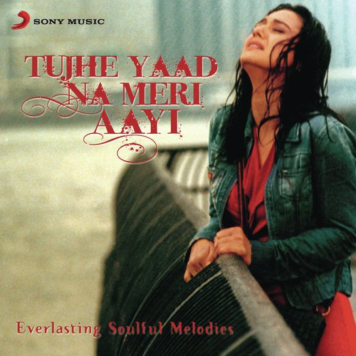 Do Kadam (From Meenaxi) - Various Artists