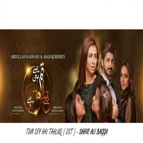 Tum Se Hi Taluq Hai   Ost - Sahir Ali Bagga