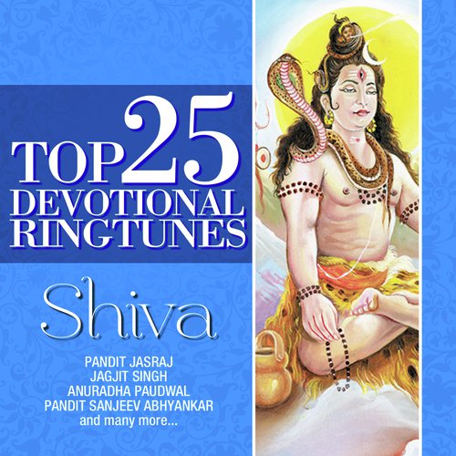 Jai Shankar Shivshankar Aarti - Various Artists
