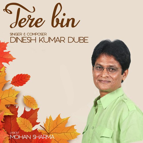 Tere Bin - Dinesh Kumar Dube