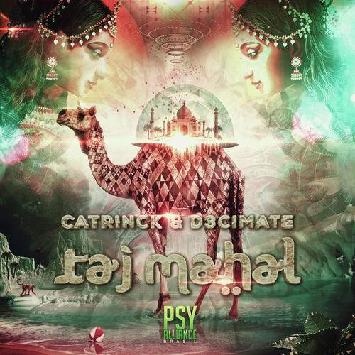 TajMahal (Original Mix) - Catrinck, D3cimate
