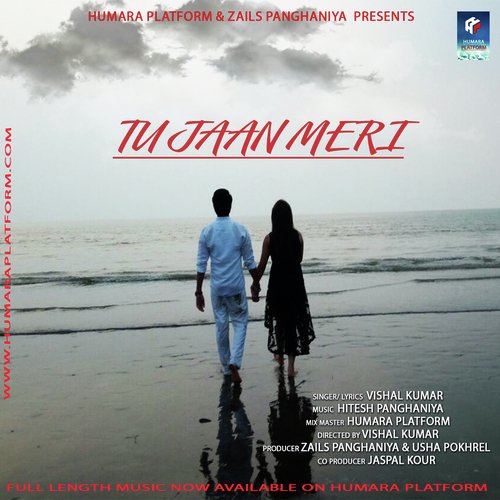 Tu Jaan Meri - Vishal kumar