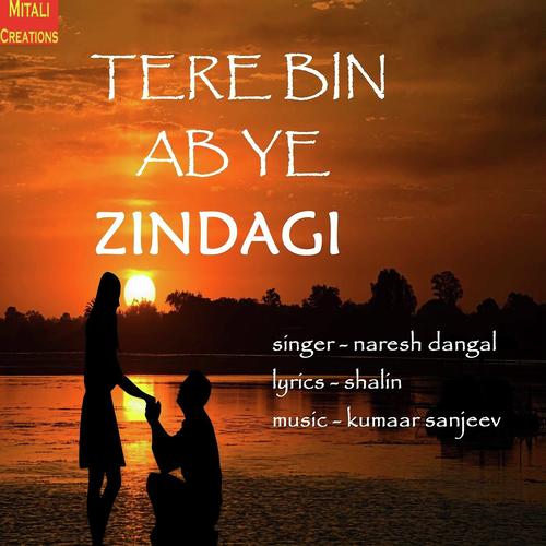 Tere Bin Ab Ye Zindagi - Naresh Dangal