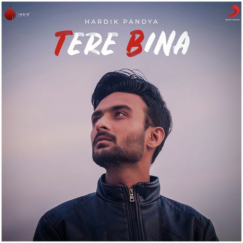 Tere Bina - Hardik Pandya
