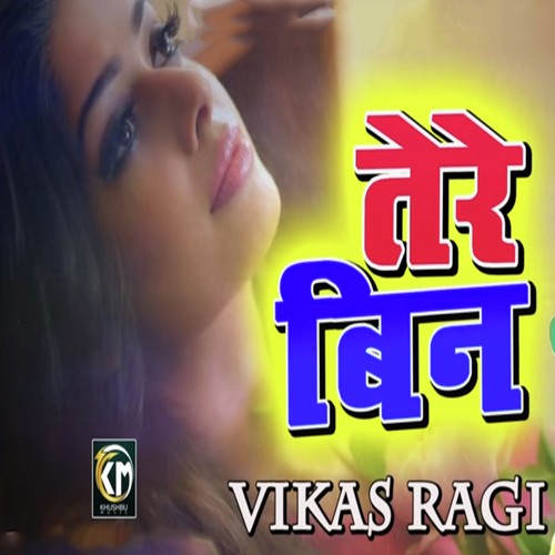 Tere Bin - Vikas Ragi