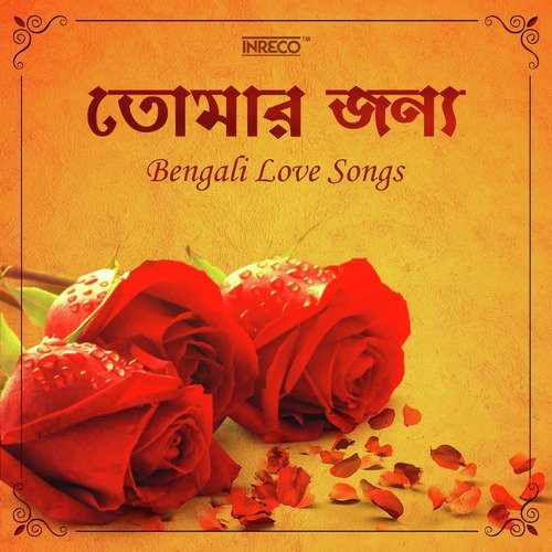 Amar Chokher Ghare - Various Artists