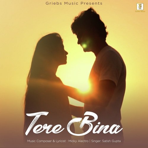 Tere Bina - Shashi Gupta