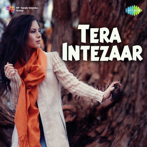 Teri Yaad Aa Rahi Hai (From Love Story) - Various Artists