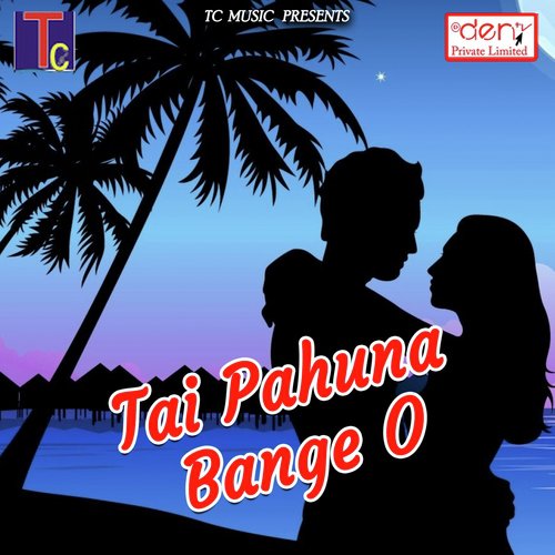 Tai Pahuna Bange O - Various Artists