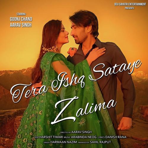 Tera Ishq Sataye Zalima - Harmaan Nazim