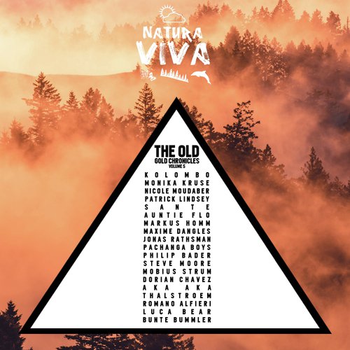 Namaste - Various Artists
