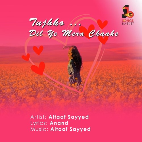 Tujhko Dil Ye Mera Chaahe - Altaaf Sayyed