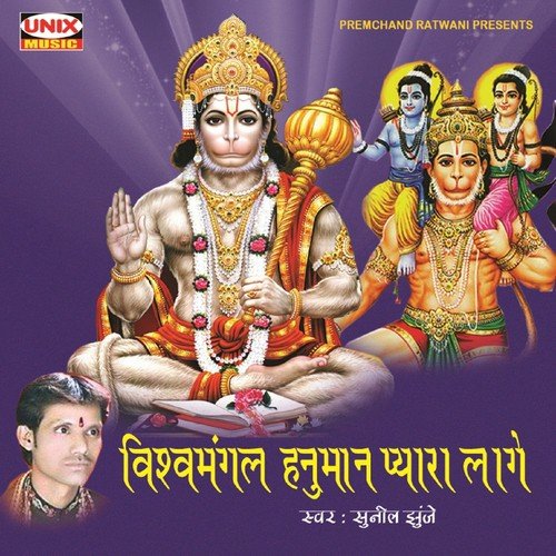 Tarkhedi Hanuman Vishwamangal   1 - Sunil Jhunje