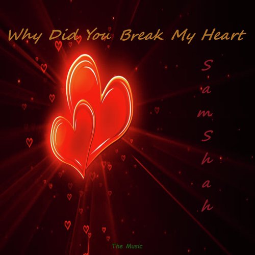 Why Did You Break My Heart - S.Shah