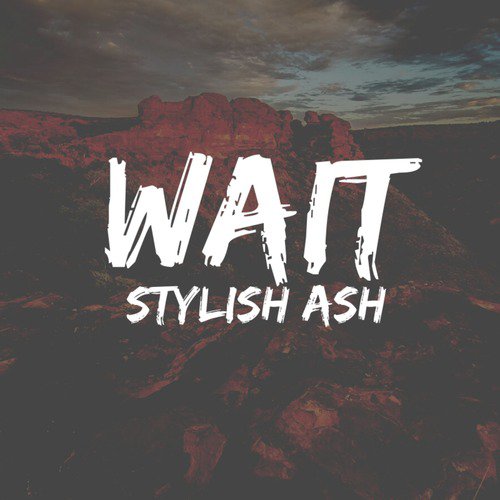 Wait - STYLISH ASH