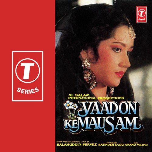 Tujhse Bichhad Kar Znda Hain - Anand-Milind, Anuradha Paudwal