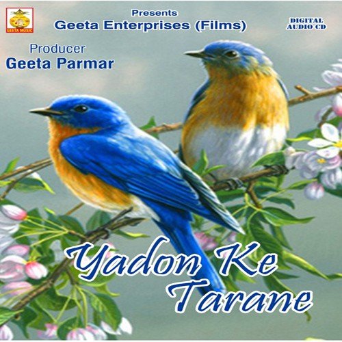 Insaff Chahiye - Nitesh Raj, Anjani Shrivastava