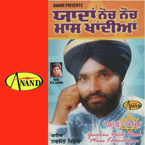 Tainu Laaj Ni Aaundi - Navjot Sitara