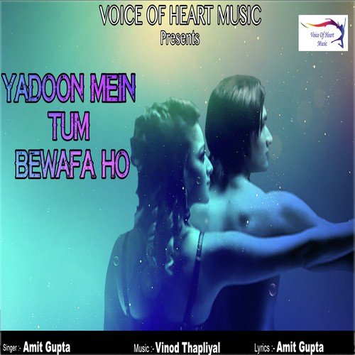 Yadoon Mein Tum Bewafa Ho - Amit Gupta
