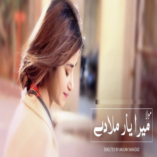 Yaar Miladey - Waqar Ali