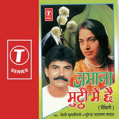 Mora Saiyan Hawaldar - Dr. Arvind Akku, Roli Mrinalini