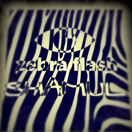 Zebra Flash - Shamul