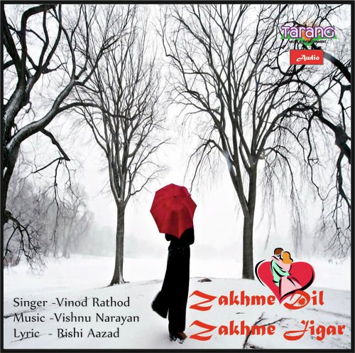 Toofa Sa Zindgi Main - Vinod Rathod