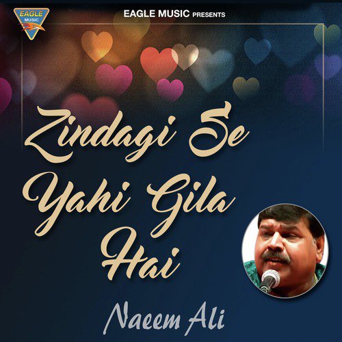 Zindagi Se Yehi Gila Hai - Naeem Ali