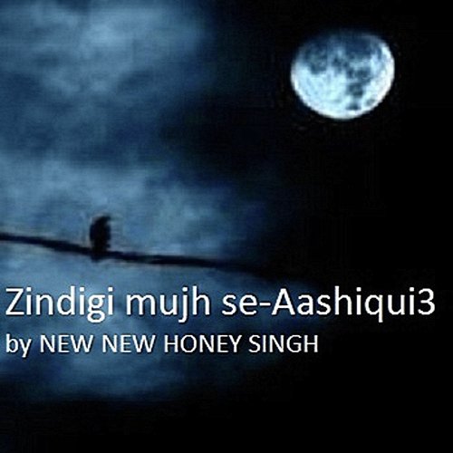 Zindigi Mujh Se Aashiqui 3 - New New Honey Singh