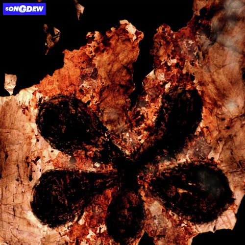 Zeher - Regal Brown
