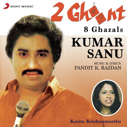Hum Kisi Guzre Huye Daur Ki - Kavita Krishnamurthy, Kumar Sanu