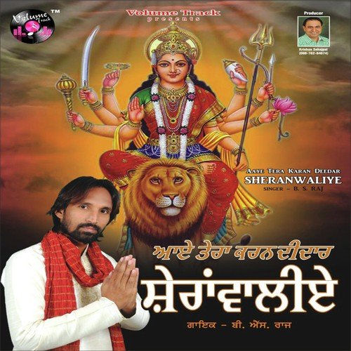 Gaddi - B.S. Raj