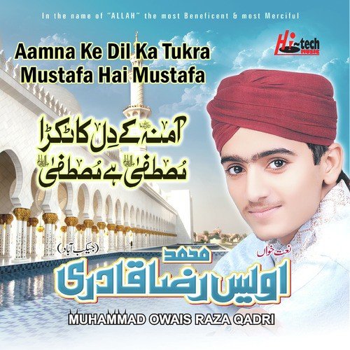 Aamna Ke Dil Ka Tukra Mustafa Hai - Alhajj Muhammad Owais Raza Qadri